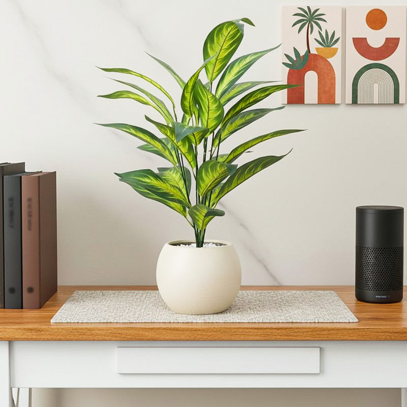 Faux Memoria Corsi Plant - 2.2 Feet