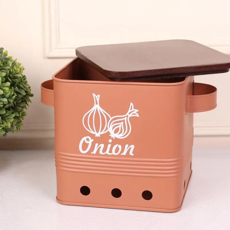 Ferrous Fun Rectangle Onion Iron Box - 10 L media 4