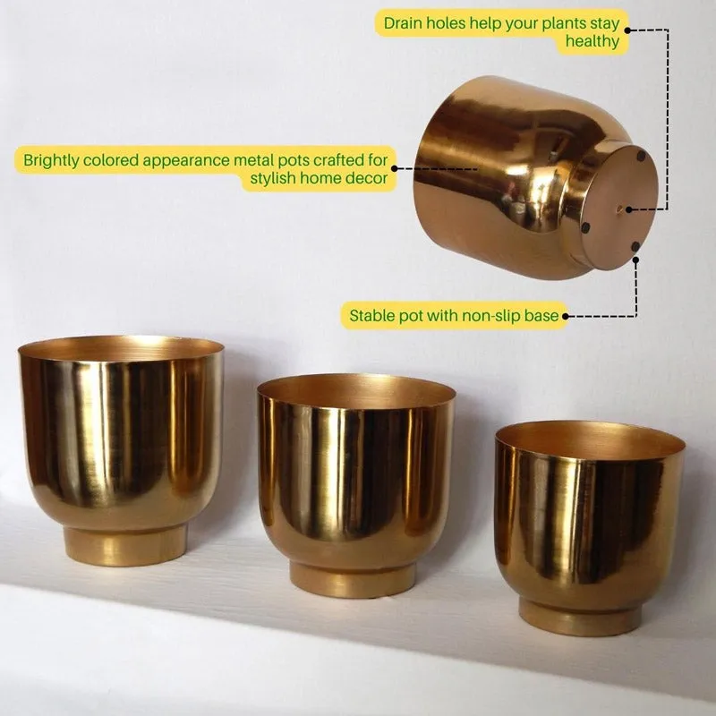 Nishma Golden Planter - Set Of Three media 3