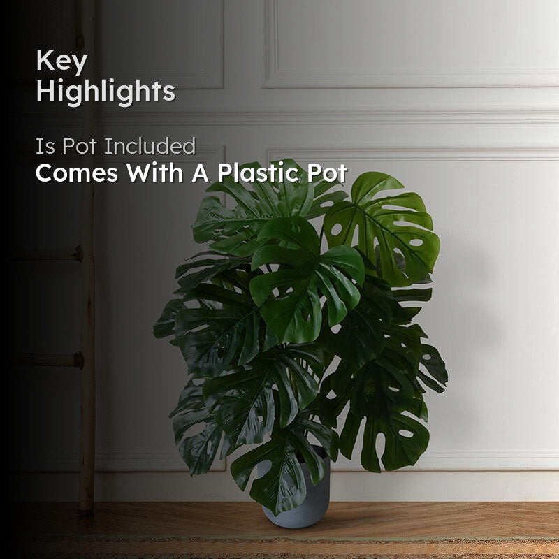 Faux Everlasting Monstera Plant With Black Plastic Pot - 79 cm (2.6 ft) media 2