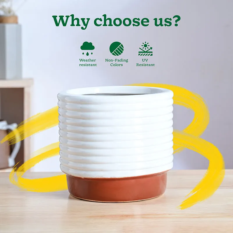 Ugaoo Fern Friend Ceramic Planter - Terracotta media 6
