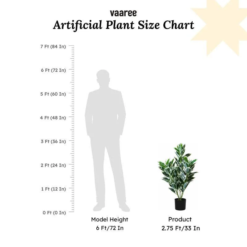 Faux Dumb Cane Plant With Black Plastic Pot - 2.79 ft media 6