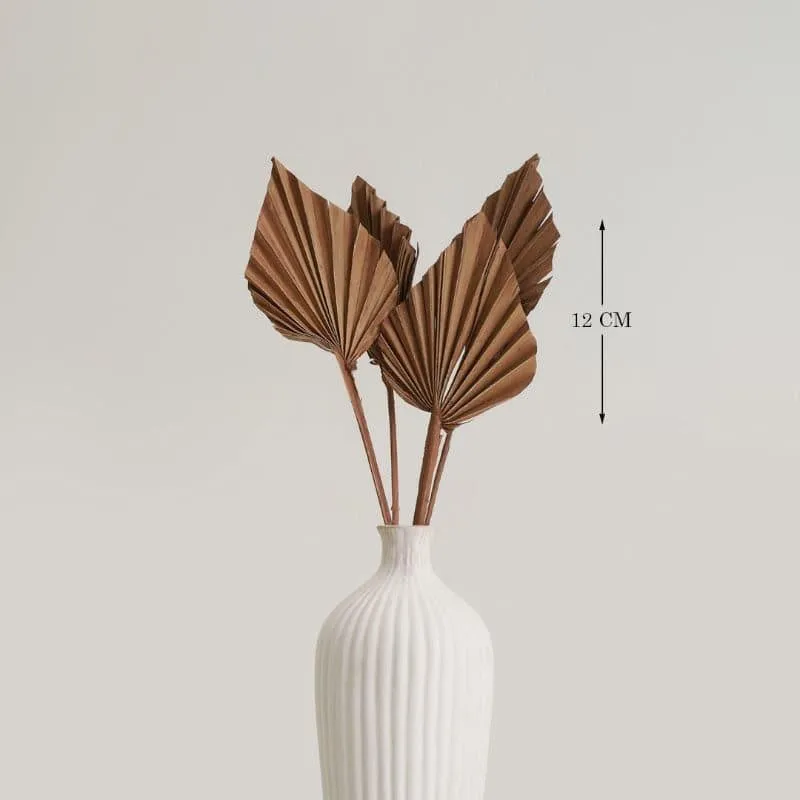Palzi Dried Palm Stick (Brown) - Set Of Five media 4