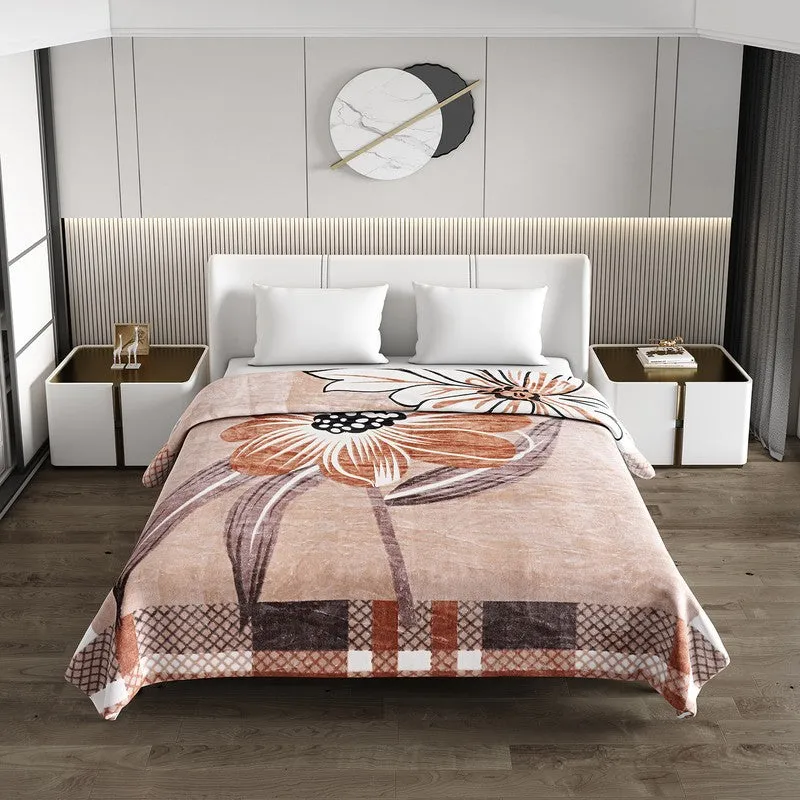Monte Carlo Crimson Dream Blanket (Brown) - 550 GSM media 3