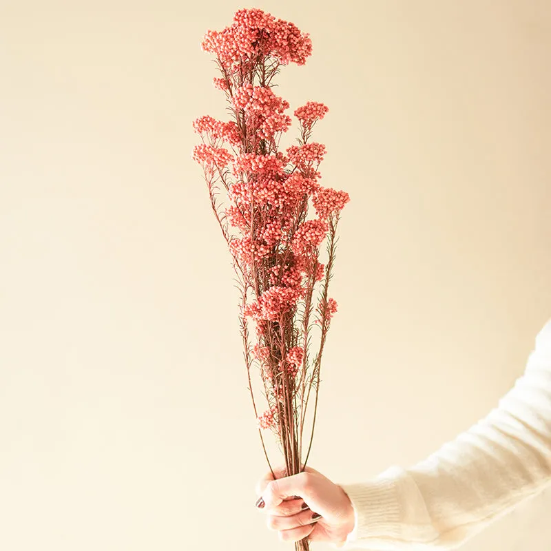 Artificial Rice Flower Stem (Light Pink) - Set Of Three media 1