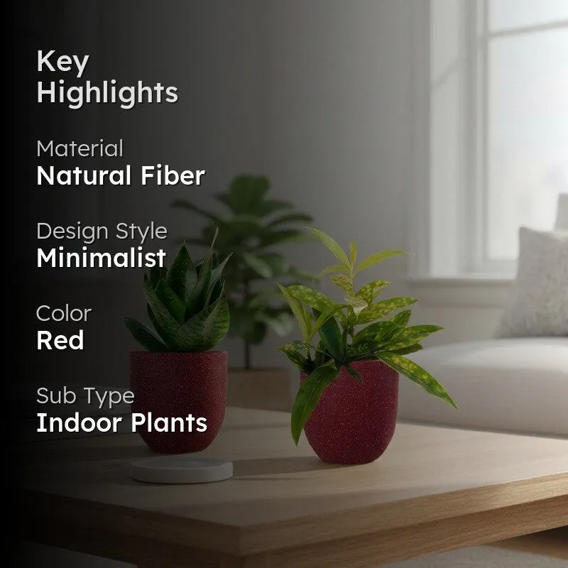 Greenkin Bamboo & Snake Live Plants (Red) - Set Of Two media 2