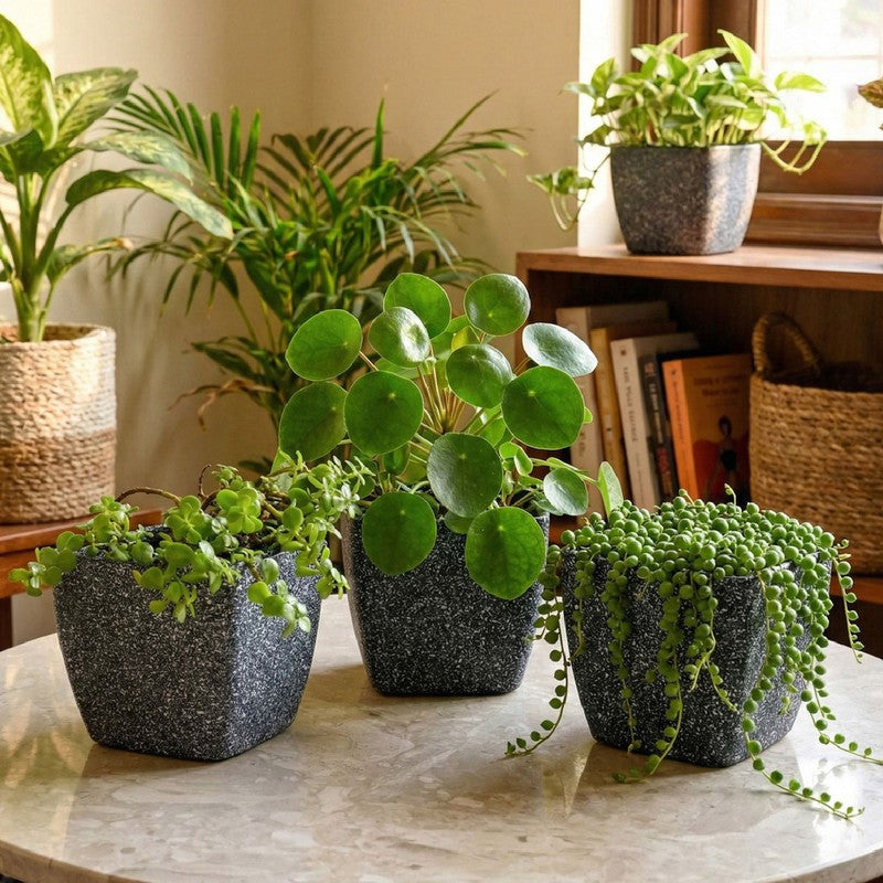Monvia Garden Planter - Set Of Three media 5