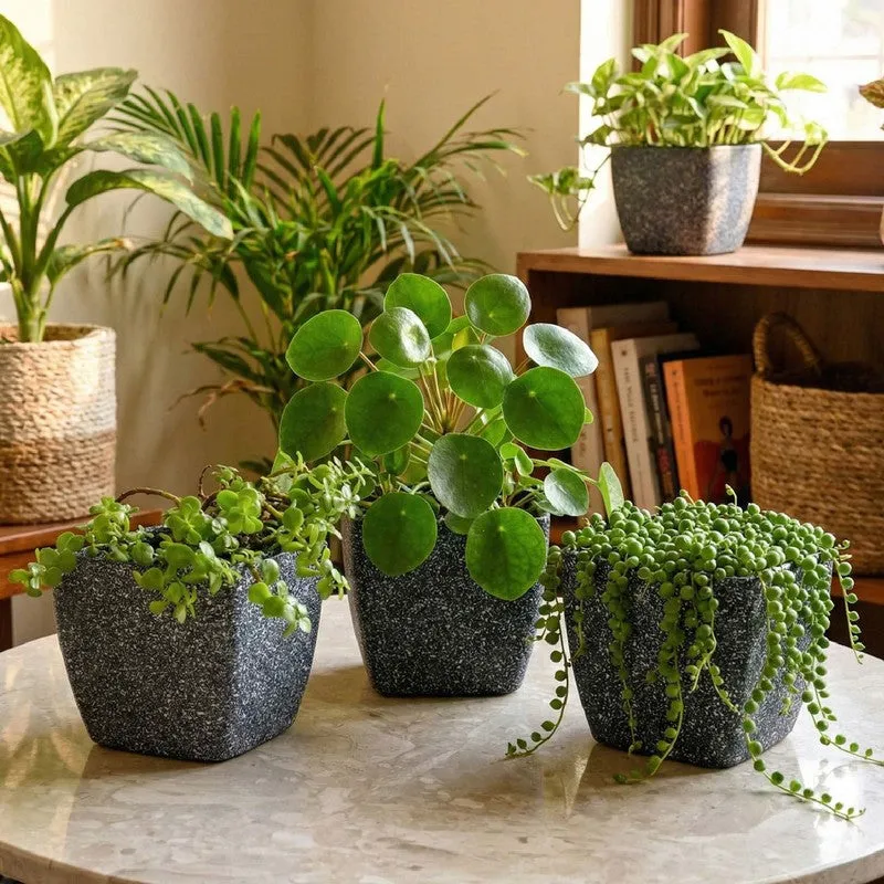 Monvia Garden Planter - Set Of Three media 5