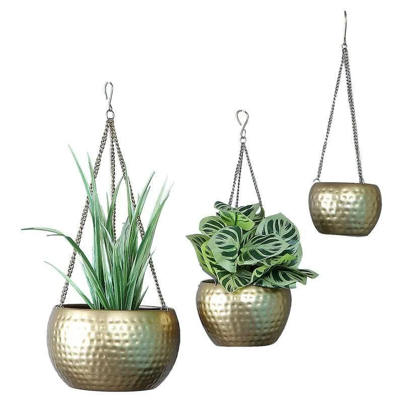 Dolema Hanging Planter - Set Of Three media 3