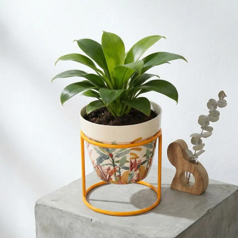 Vessel & Vine Metal Planters With Stand - Two Piece Set media 9