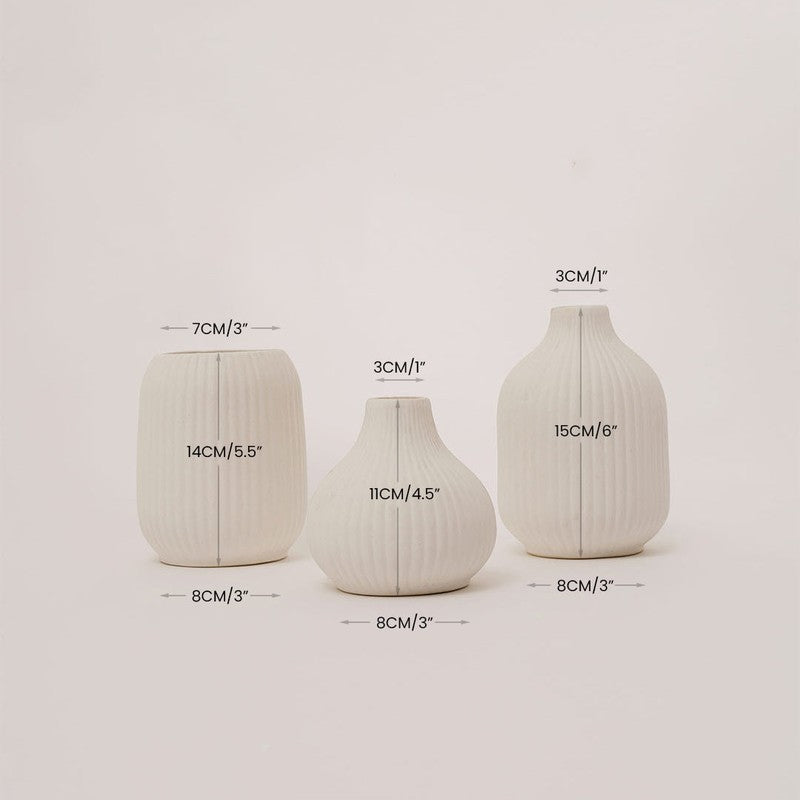 Bisto Vase -Set Of Three media 7