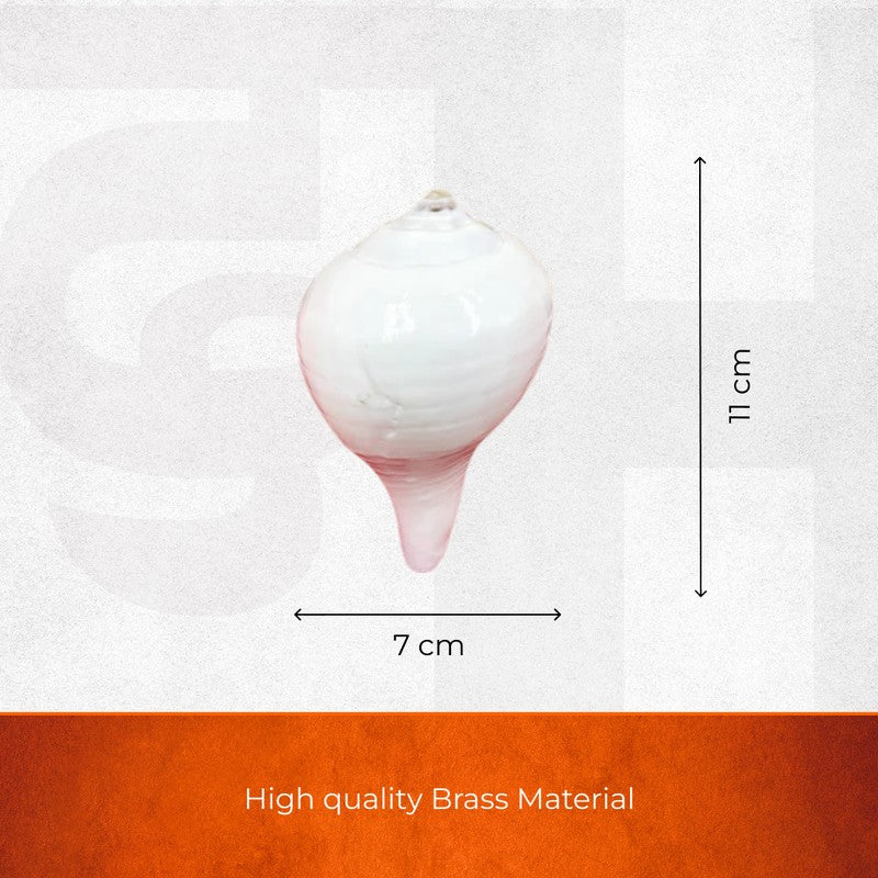 Sacred Shankh Shell Pooja Essential media 9
