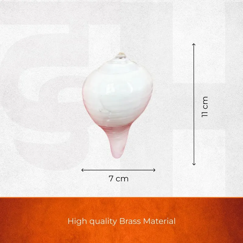 Sacred Shankh Shell Pooja Essential media 9