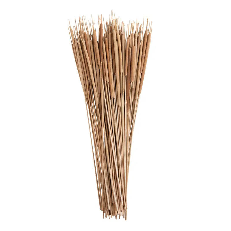 Naturally Dried Reed Spadaix - Set Of Twenty media 3