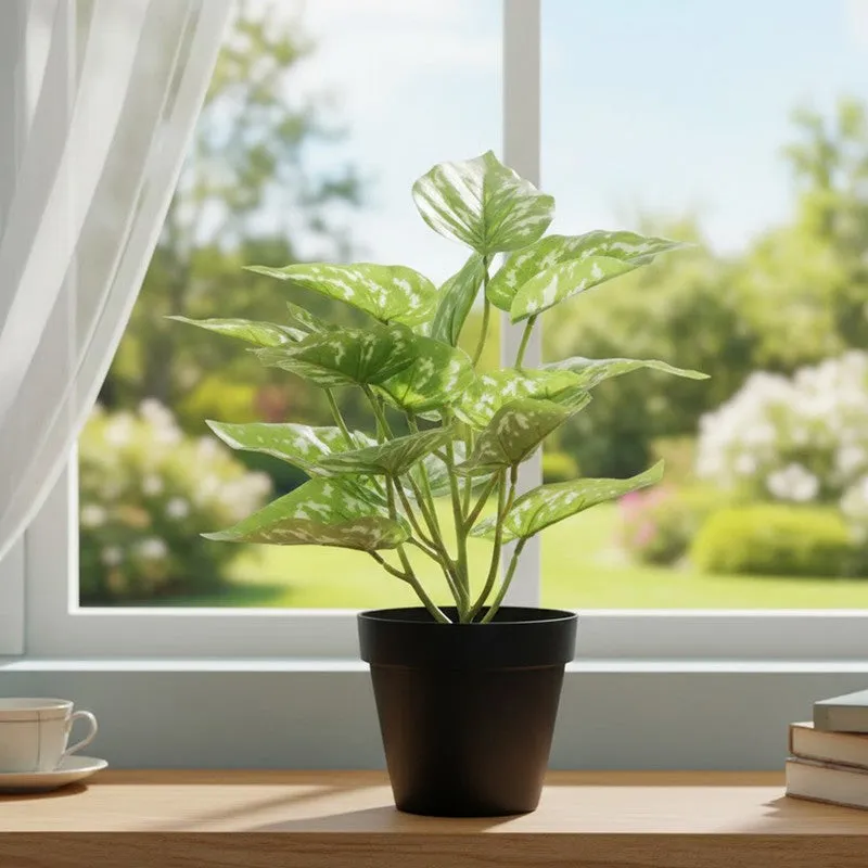 Neonix Money Artificial Plant With Plastic Pot - 1.2 Feet media 6
