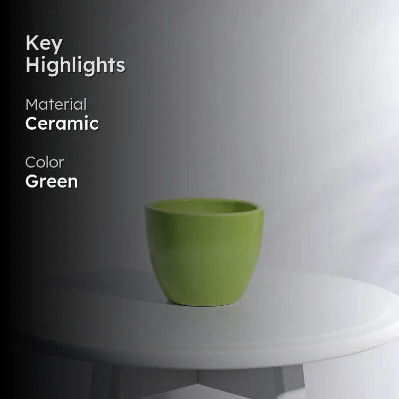 Ugaoo Apple Light Green Ceramic Pot- Small media 2