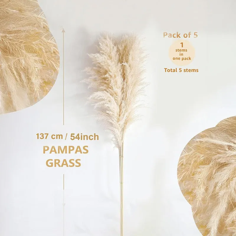 Artificial Rustic Pampas Grass - Set Of Five media 8