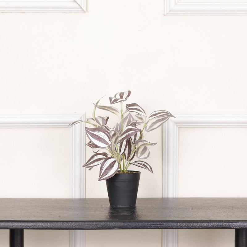 Artificial Wandering Dude Plant With Black Fiber Pot - 0.9 Feet media 3