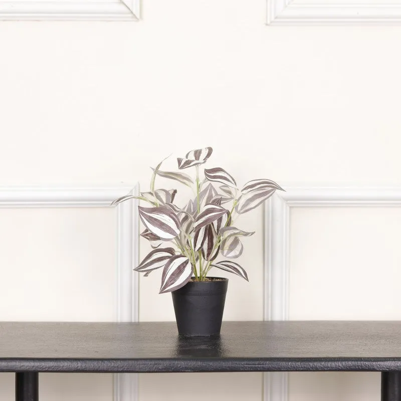 Artificial Wandering Dude Plant With Black Fiber Pot - 0.9 Feet media 3