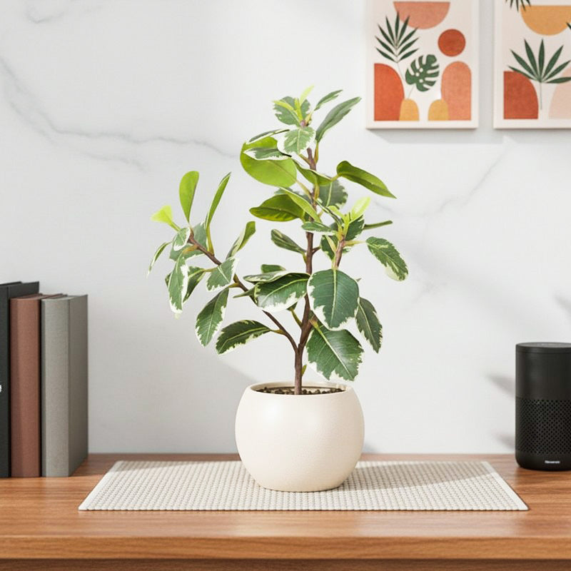 Artificial Green Quercus Leaf Small Plant With Black Fiber Pot - 1 Feet
