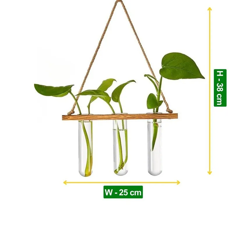 Close view of the hanging planter showing three clear tubes, wooden holder and twine