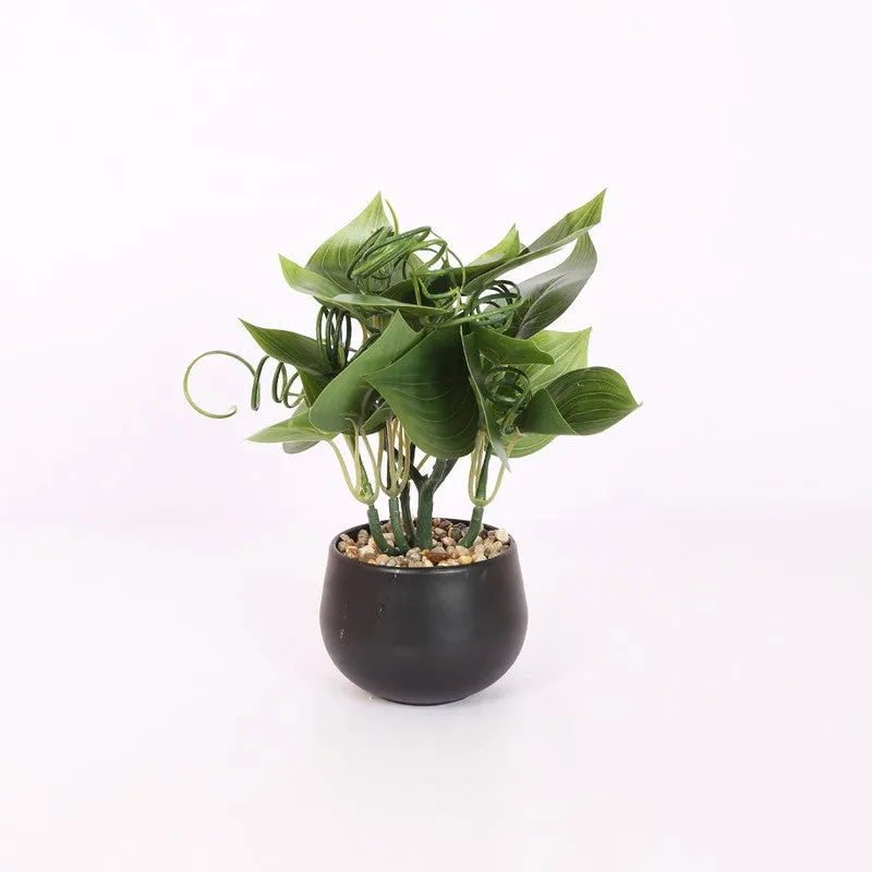 Feng Shui Artificial Money Plant With Pot media 3