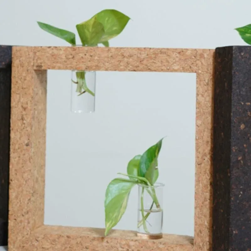 Framo Cork Testube Planter -Brown media 4