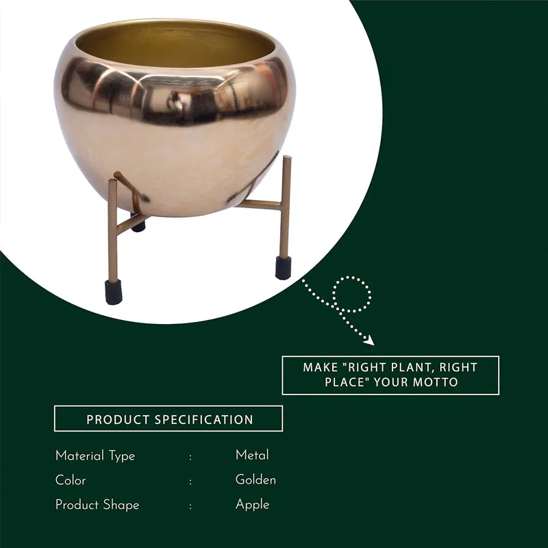 Kyari Stoma Aurum Metal Planter With Stand media 4