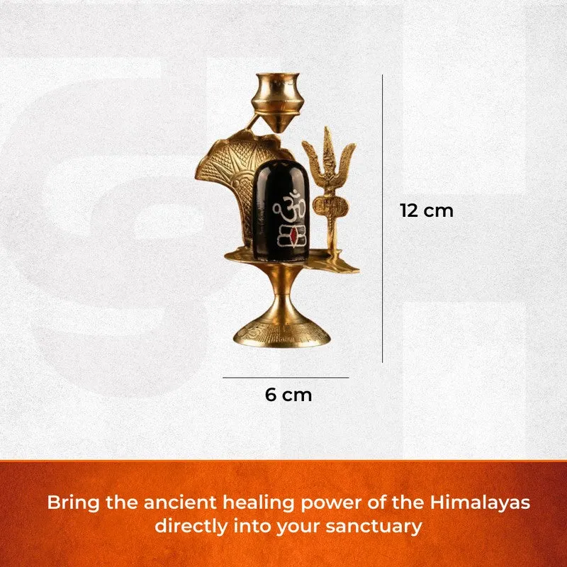 Mahadev Blessings Brass Idol media 7