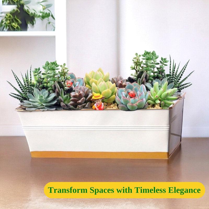 Zutoia Black Planter - Grey media 8