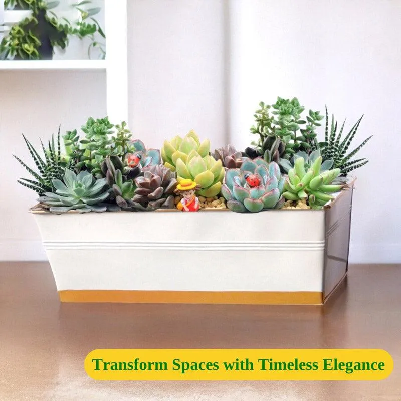 Zutoia Black Planter - Grey media 8