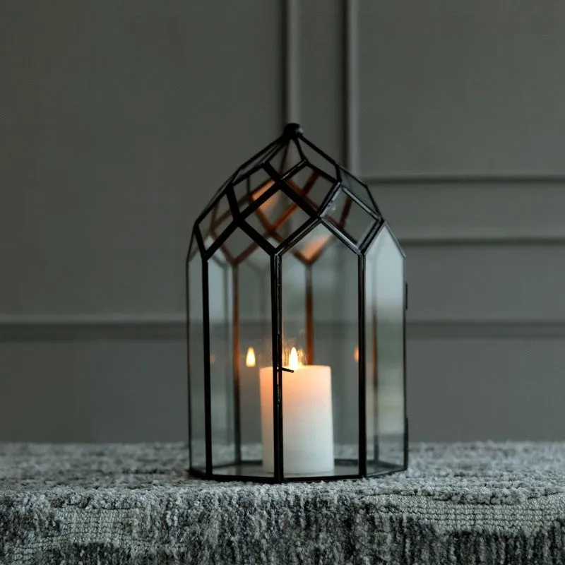 Orange Tree June Lantern media 1