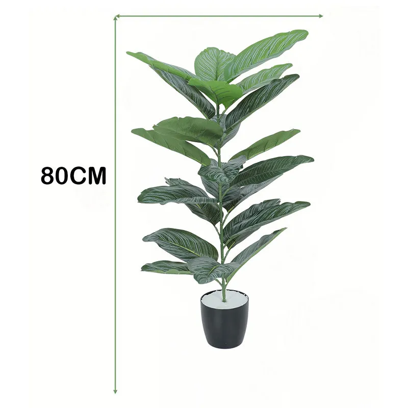 Edira Artificial Dieffenbachia Plant With Black Plastic Pot - 2.6 Feet media 6