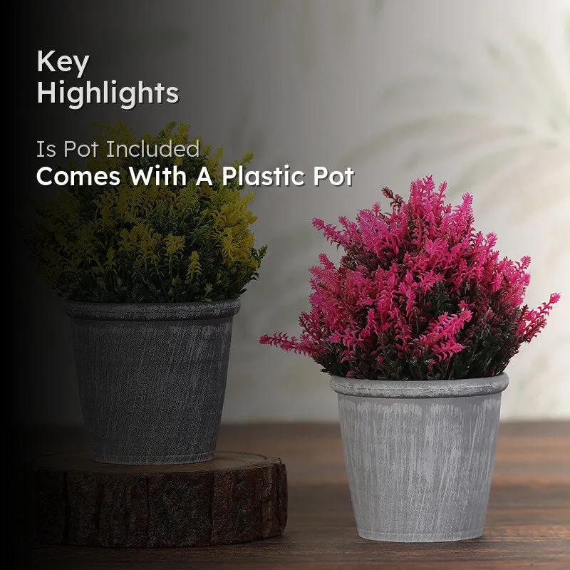 Abela Artificial Plant With Black Plastic Pot - Set Of Two media 2