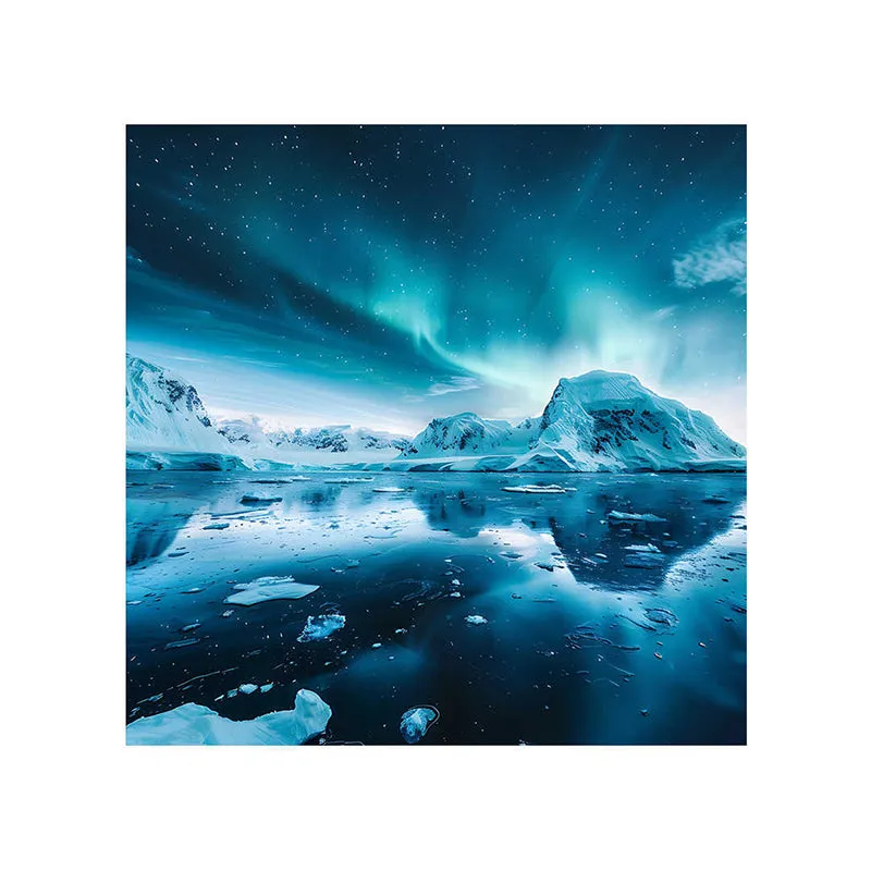 Northern Lights Wall Painting media 5