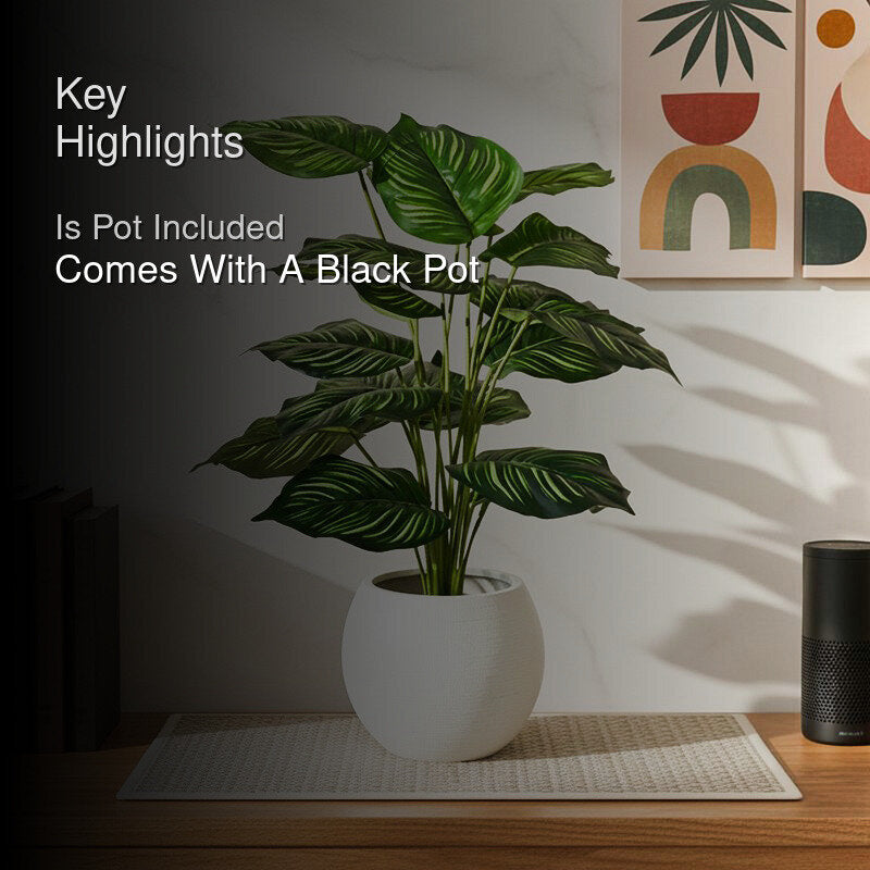 Faux Everlasting Alocasia Plant With Black Plastic Pot - 74 cm (2.4 ft) media 2