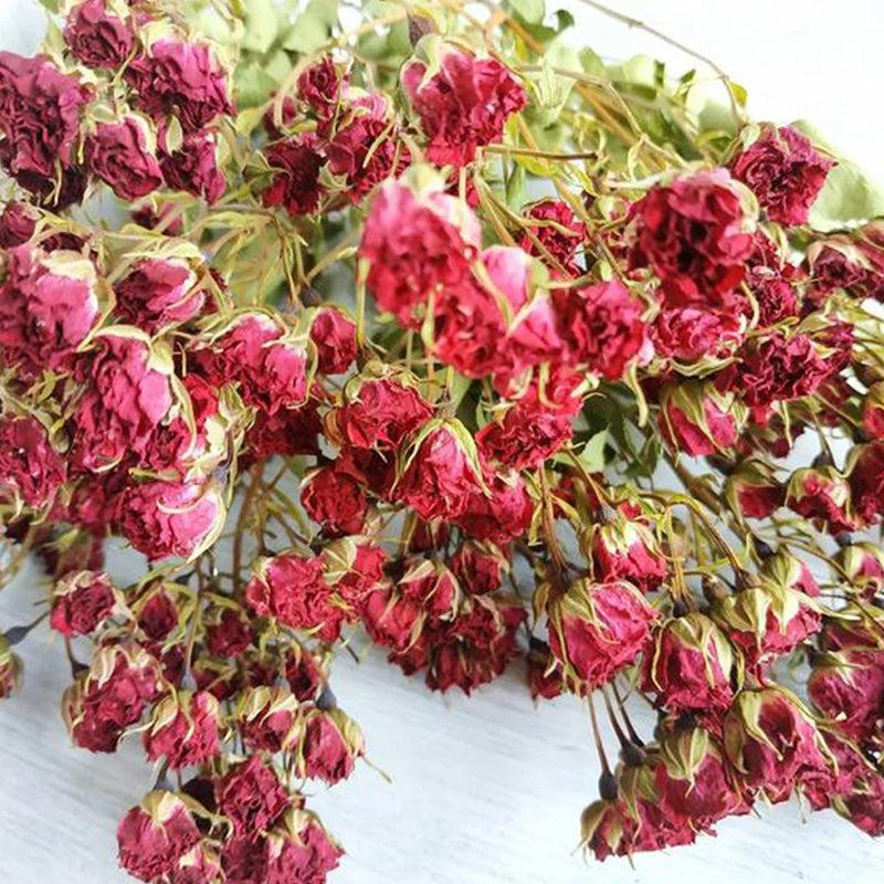 Dried Red Rose Flower Bunch - Set Of Twenty media 3
