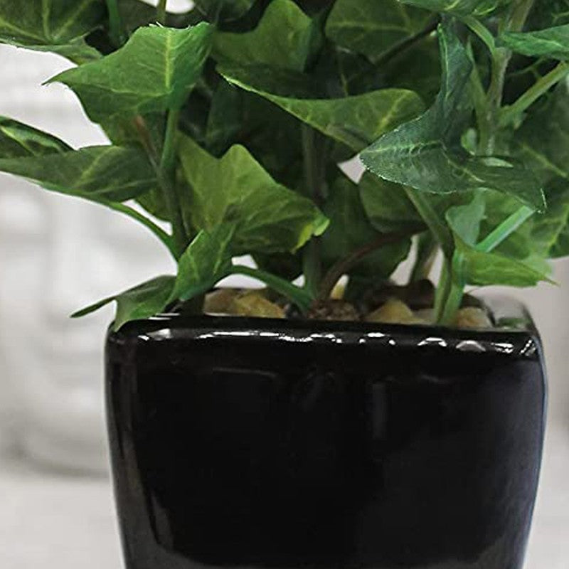 Artificial Green Ivy Leaf Bonsai Plant With Ceramic Pot - 0.7 Feet media 3