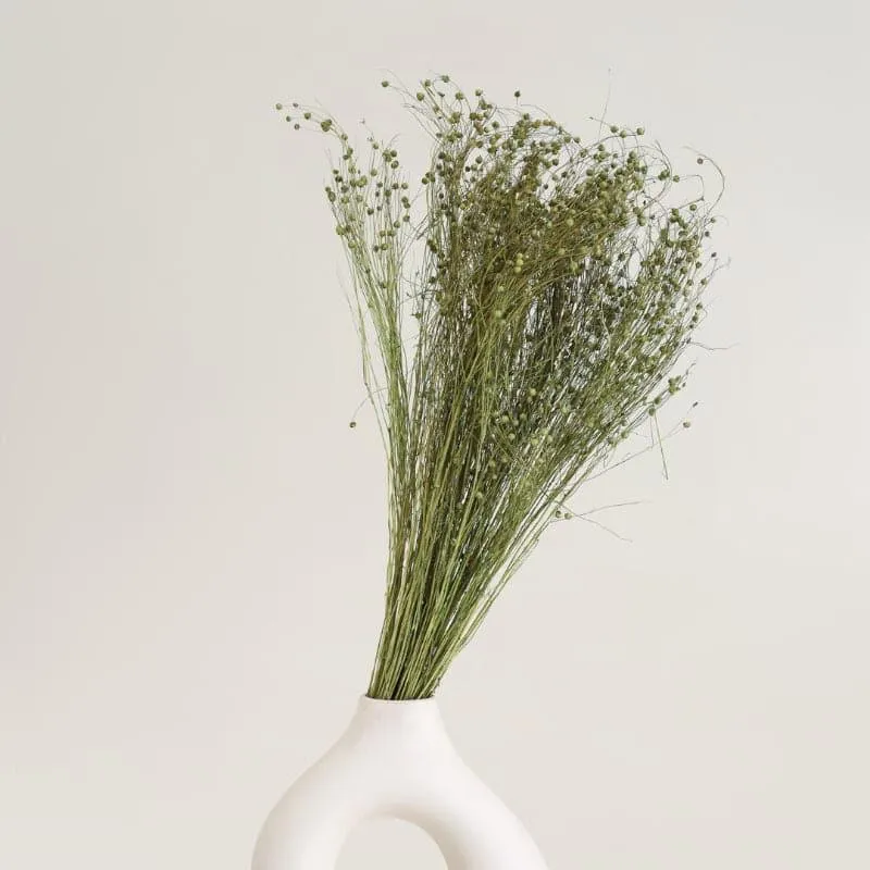Loopa Dried Millet Grass Lino Bunch - Green media 1