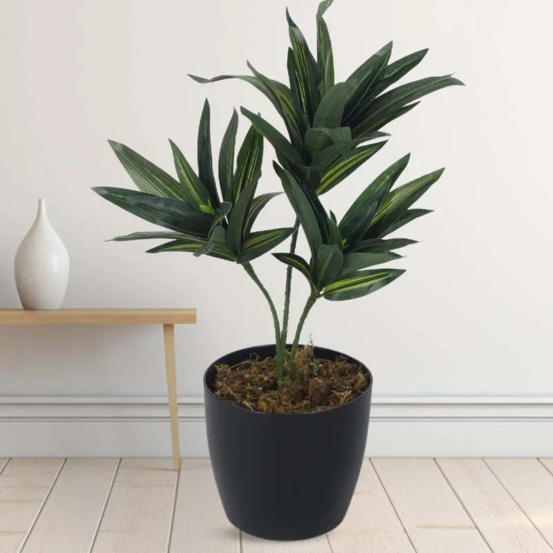 Faux Lush Dracaena Reflexa Plant With Black Plastic Pot (Dark Green) - 1.3 Feet media 2