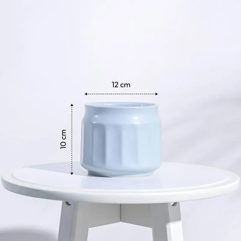 Twila Ceramic Planter - Blue media 6