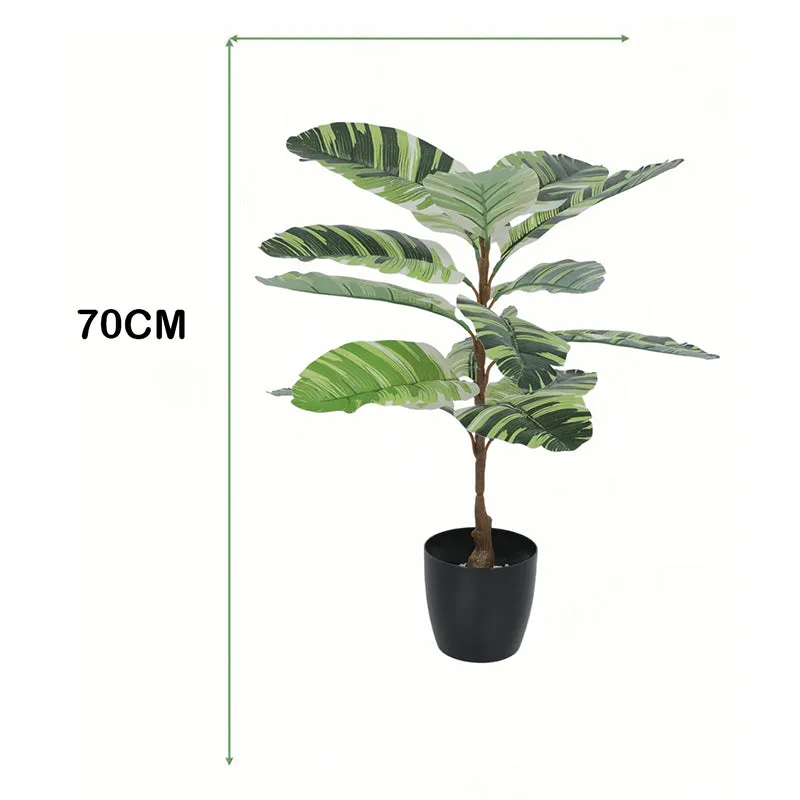 Erina Artificial White Banana Plant With Black Plastic Pot - 2.5 Feet media 6
