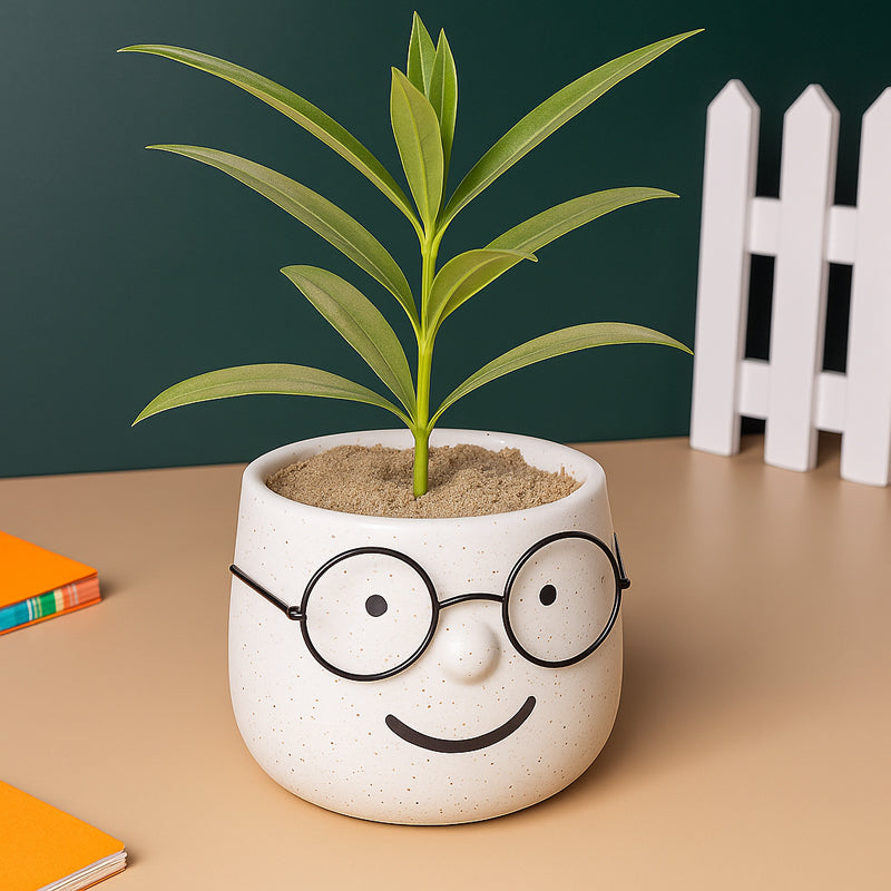 Plantie Pals Ceramic Planter - White media 5
