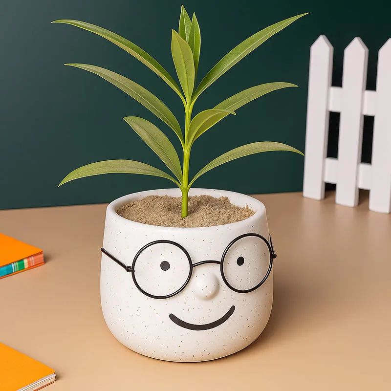 Plantie Pals Ceramic Planter - White media 5
