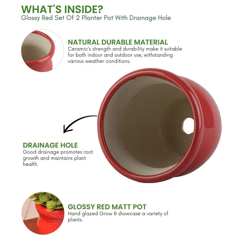 VelourVista Pots Red - Set Of Two media 8