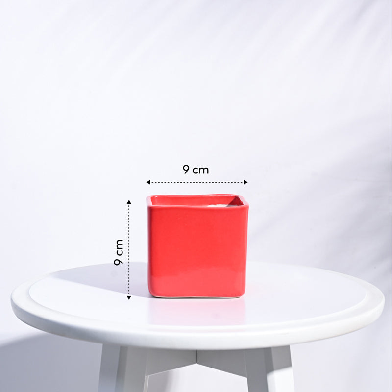 Ugaoo Square Orange Ceramic Pot media 6