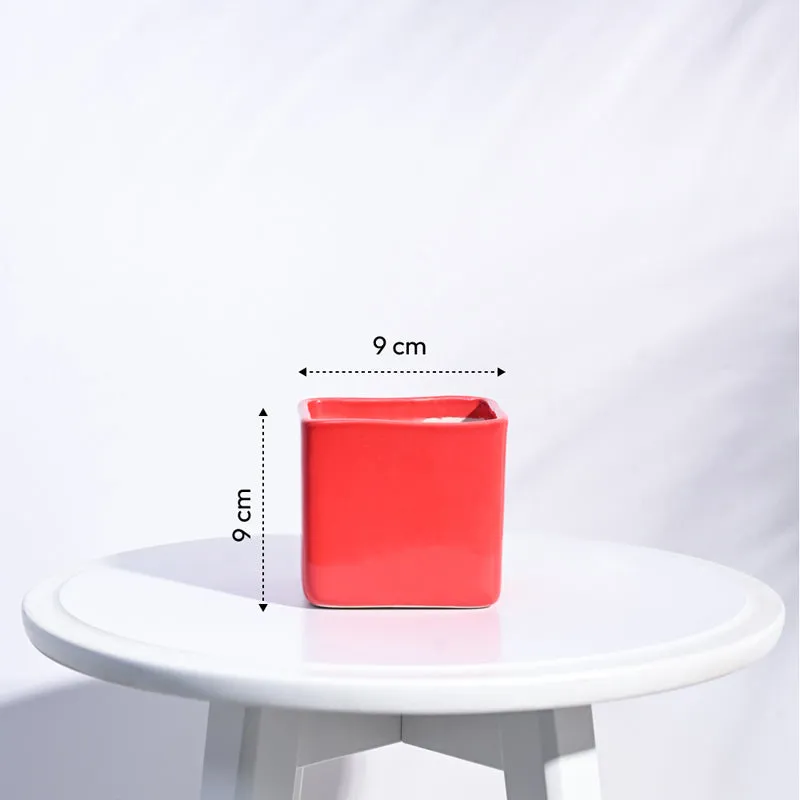 Ugaoo Square Orange Ceramic Pot media 6