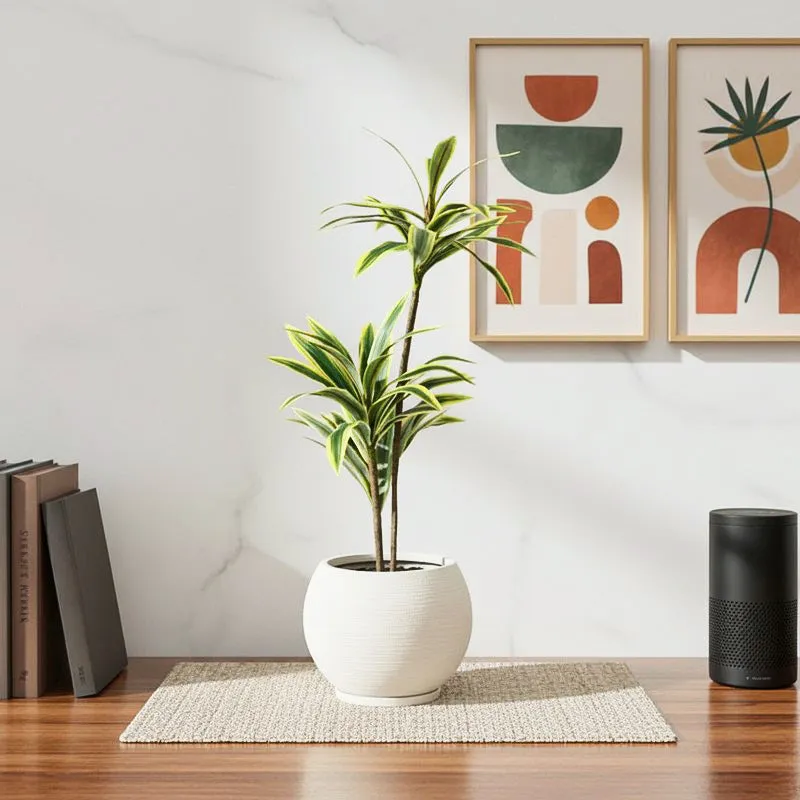 Soilyn Artificial Dracaena Plant - 2.5 Feet media 1