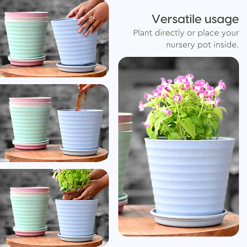 Botani Basin Pot - Set Of Four image 5