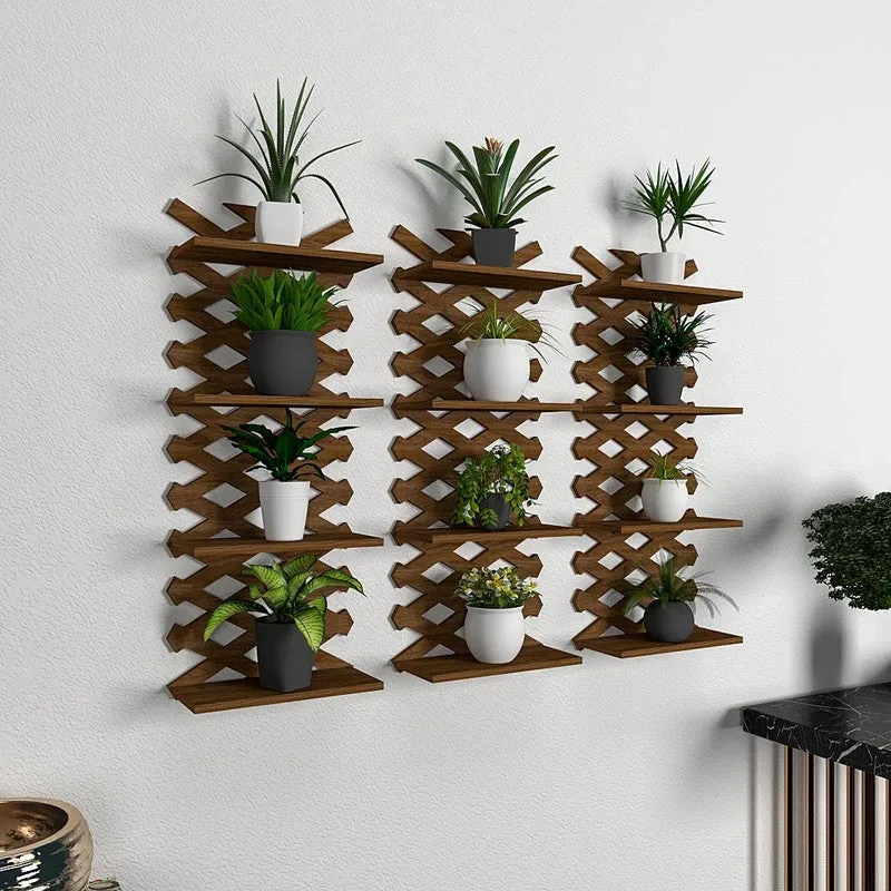 Vivo Stack (MDF,Wood) Shelves - Set Of Three media 4
